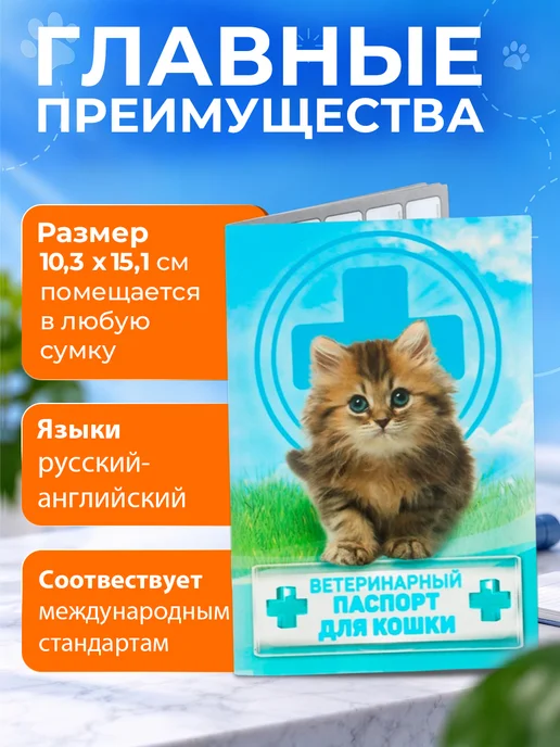 Пижон Ветеринарный паспорт для кошек международный, вариант, фото 2