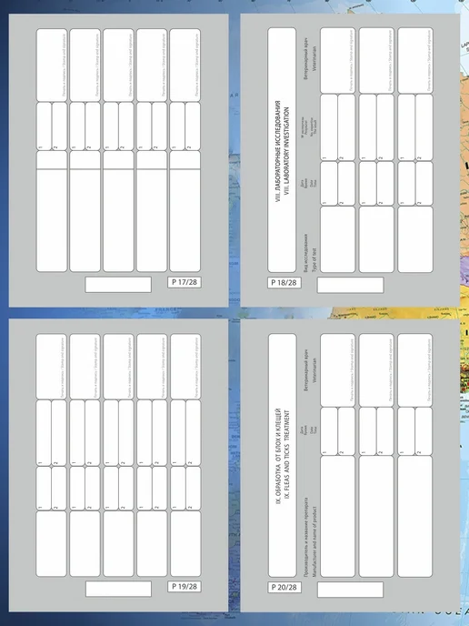 Пижон Ветеринарный паспорт для кошек международный, вариант, фото 3