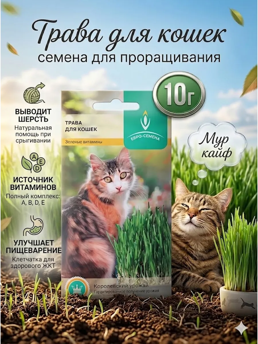 Трава для кошек семена для проращивания