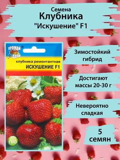 Семена Клубника ремонтантная "Искушение", F1, 5 шт Урожай Удачи 143623083 купить за 138 ₽ в интернет-магазине Wildberries