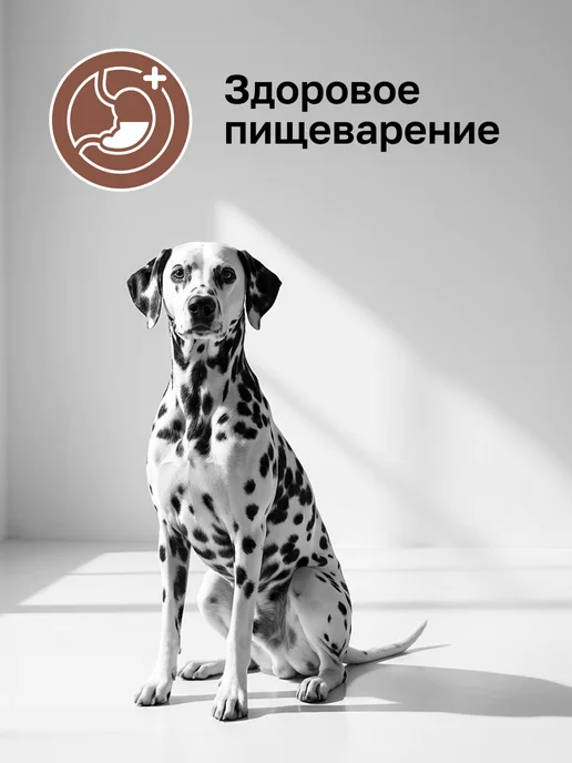 Сухой корм Organix Gastrointestinal Профилактика для собак, 0,8 кг, фото 2