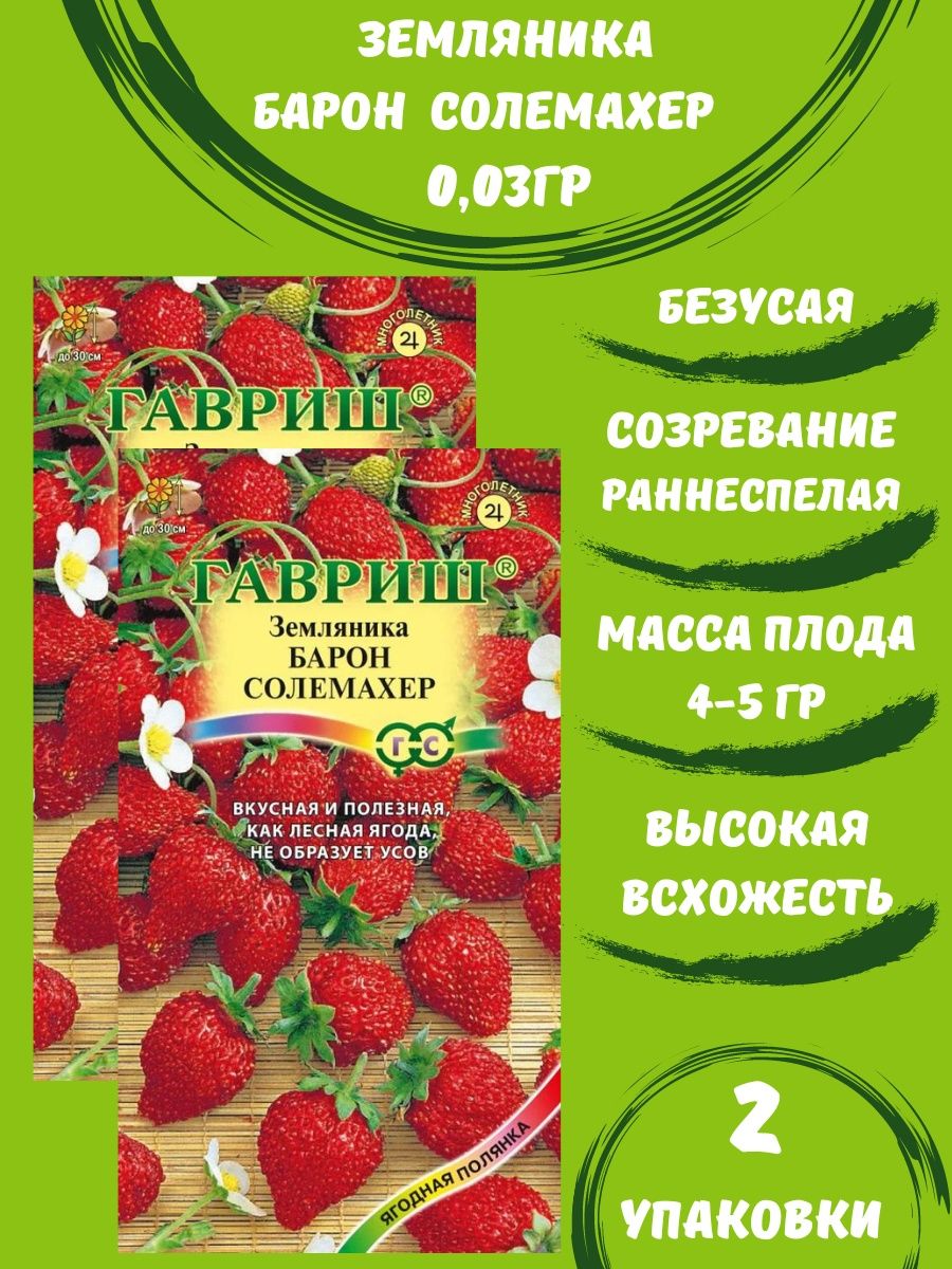 Барон солемахер отзывы. Земляника Барон Солемахер. Земляника Садовая Барон Солемахер. Барон Солемахер томат. Земляника Барон Солемахер выращивание из семян в домашних условиях.