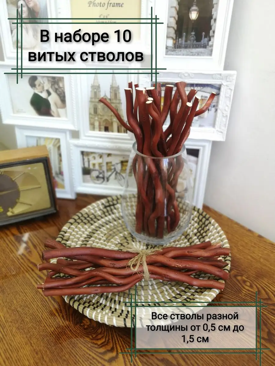 корилус (ветки орешника) ствол для топиария цвет НАТУРАЛЬНЫЙ длина 30 см