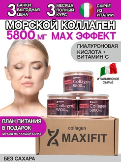 Морской коллаген порошок для суставов max-fit 143784863 купить за 973 ₽ в интернет-магазине Wildberries