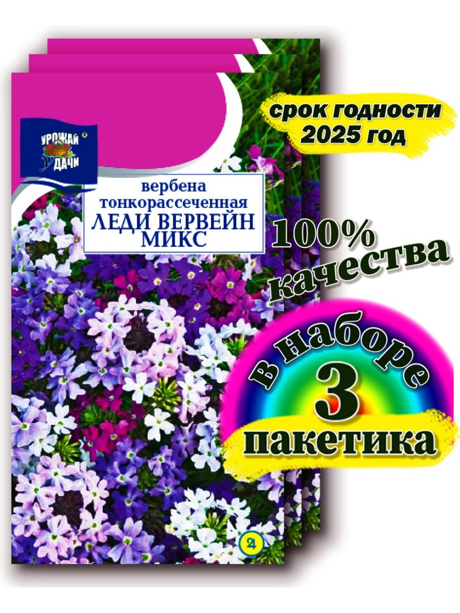 Вербена тонкорассечённая семена. Вербена тонкорассеченная Элизабет. Вербена тонкорассеченная.смесь. Вербена тонкорассеченная фото.