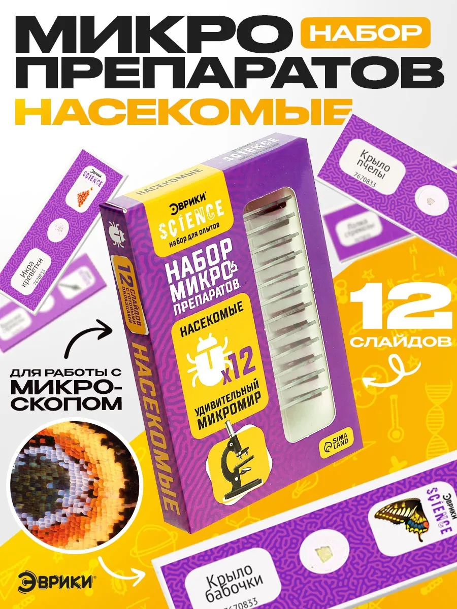 Набор для опытов "Набор микропрепаратов", насекомые