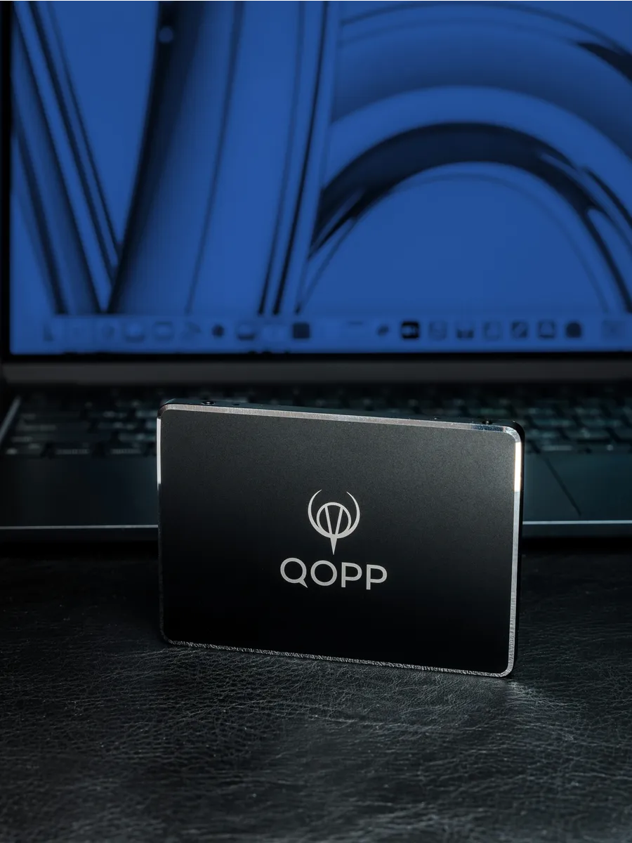 2.5 SSD накопитель 256 GB жесткий диск для ноутбука и пк QOPP 143957536  купить за 1 886 ₽ в интернет-магазине Wildberries