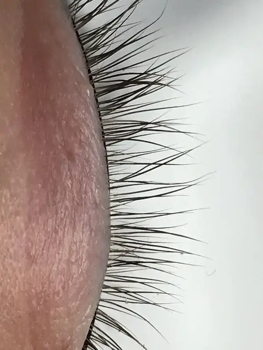 Perfect Lashes Патчи для наращивания ресниц виниловые тонкие белые 20 пар, белый, 30 шт, фото 3