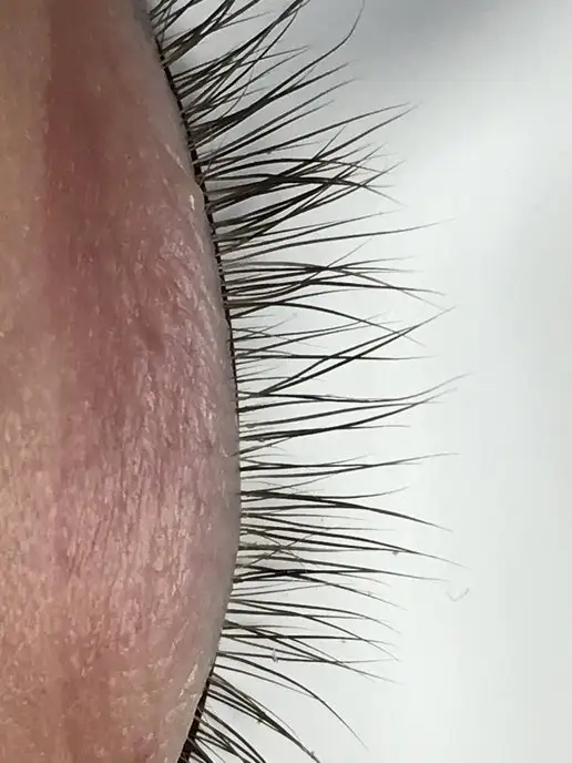 Perfect Lashes Патчи для наращивания ресниц виниловые тонкие белые 20 пар, белый, 50 шт, фото 5