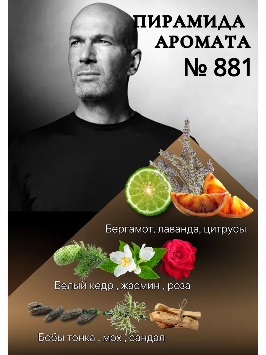 Парфюм № 881 Legend цитрусовый одеколон Легенда 50 мл Silvana Official  144084486 купить за 1 282 ₽ в интернет-магазине Wildberries