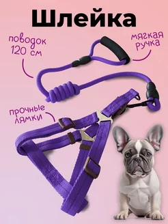 Шлейка для собак и кошек MiloPets 144115003 купить за 309 ₽ в интернет-магазине Wildberries