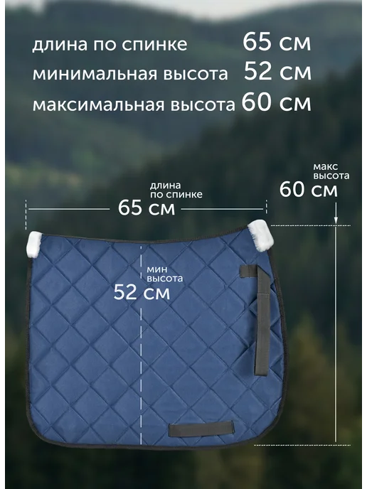 REITER Вальтрап для лошади универсальный, синий, фото 2