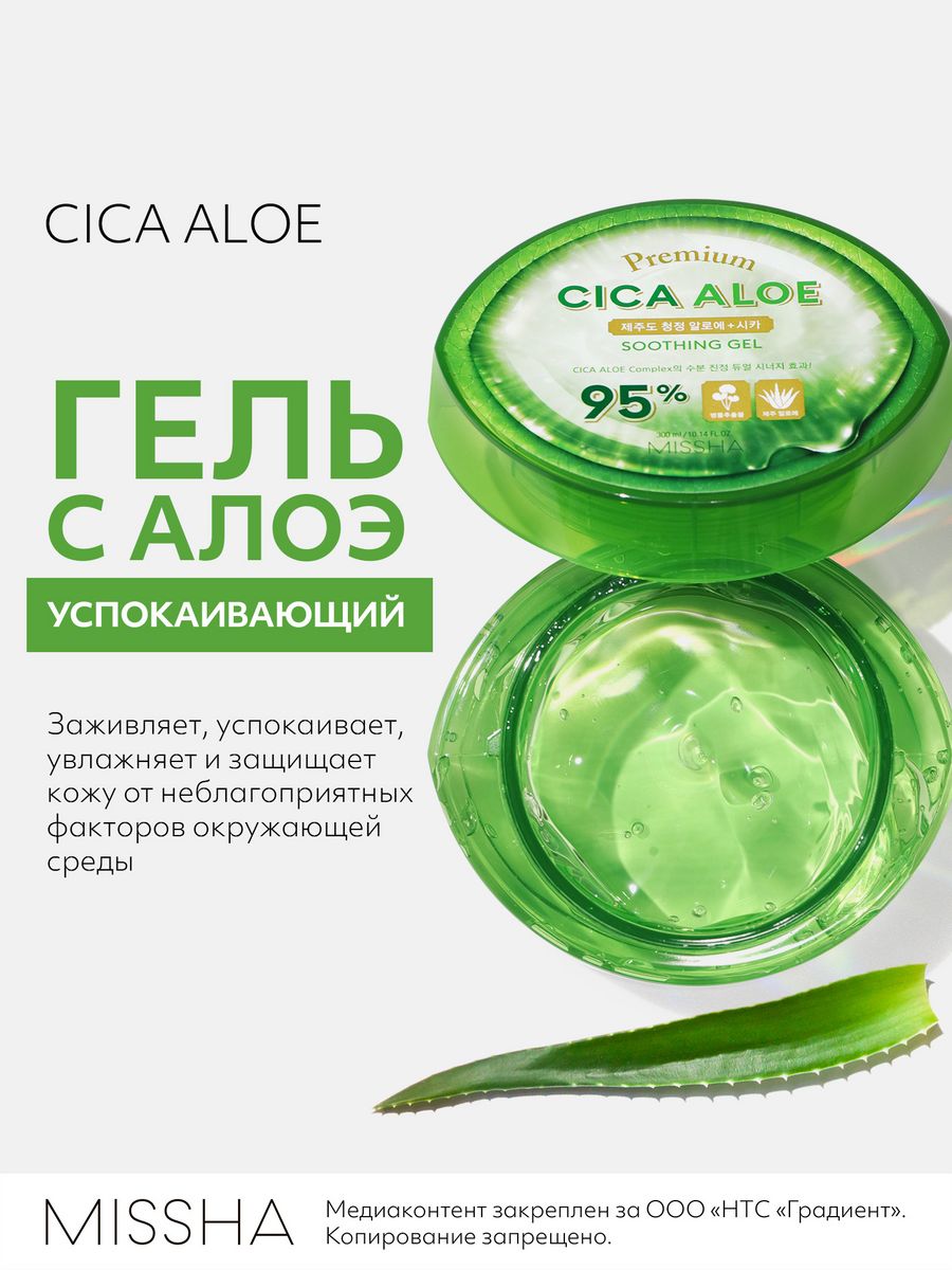 Cica aloe