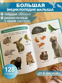 Книга для запуска и развития речи малышей Птенчик 144230193 купить за 525 ₽ в интернет-магазине Wildberries