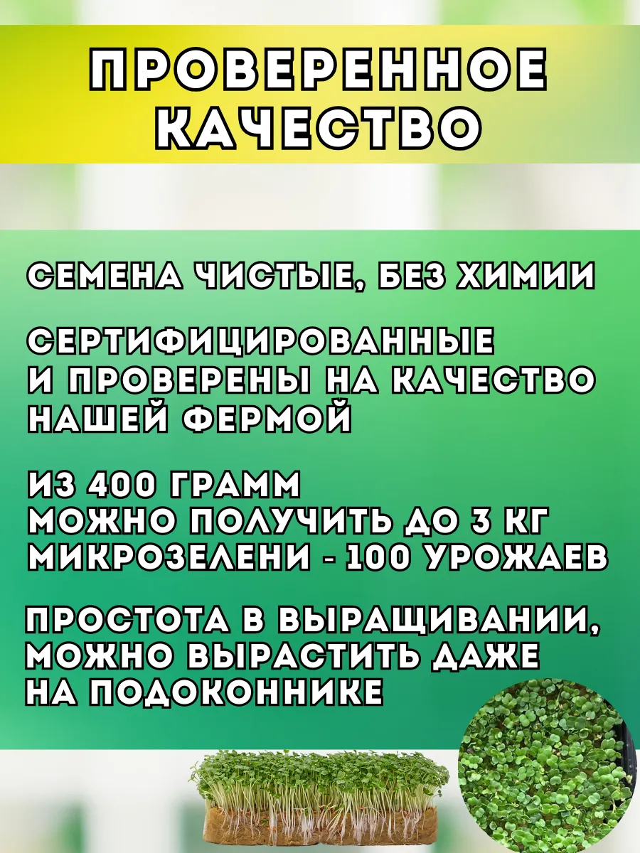 Семена рукколы для микрозелени и посадки в огороде Народные семена  144238915 купить за 1 012 ₽ в интернет-магазине Wildberries