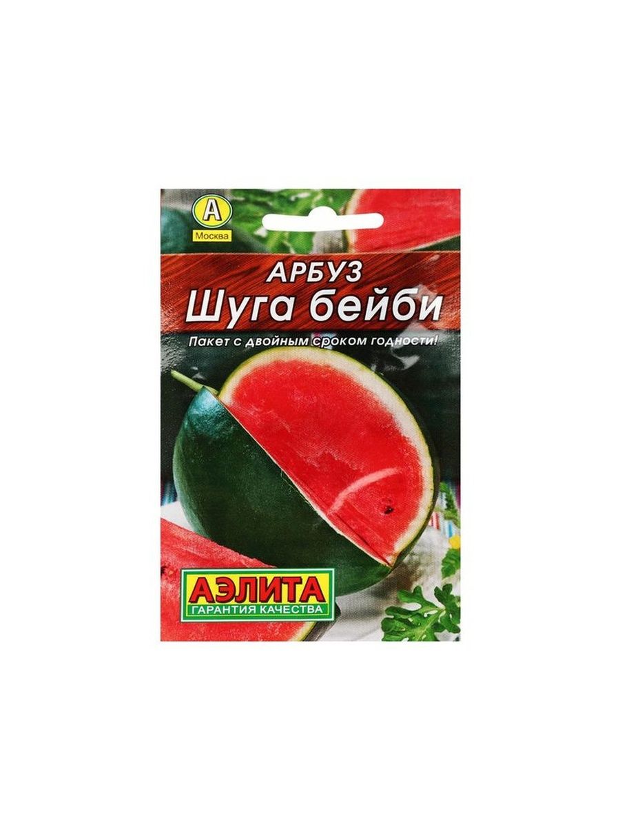 Сорт арбуза шуга бейби. Сорт арбузов Шуга бейби. Растение арбуза Шуга бейби.