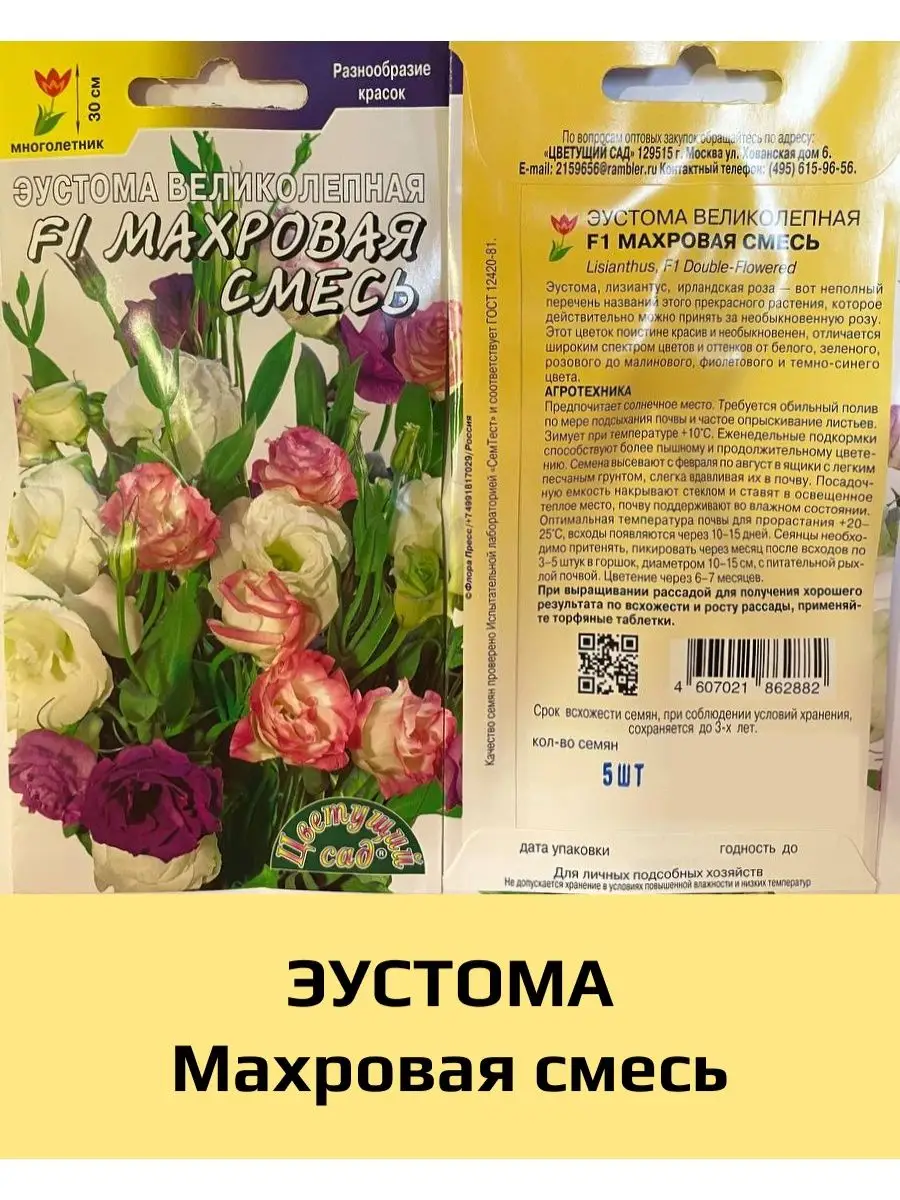 Как выбрать чеснок для посадки? / школаселазерновое.рф