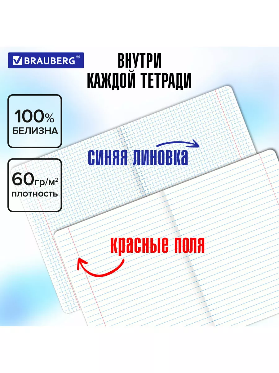 Тетради предметные набор 48 листов 12 Предметов, для школы Brauberg  144365380 купить за 604 ₽ в интернет-магазине Wildberries