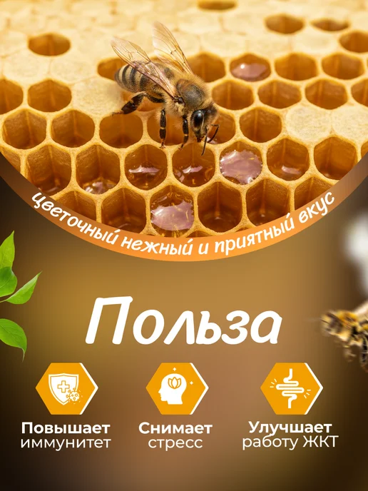 FITOseason Мёд с сотах Горное разнотравье 150 гр*4шт, 150 г, 4 шт, фото 3