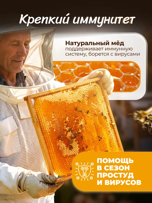 FITOseason Мёд с сотах Горное разнотравье 150 гр*4шт, 150 г, 4 шт, фото 5