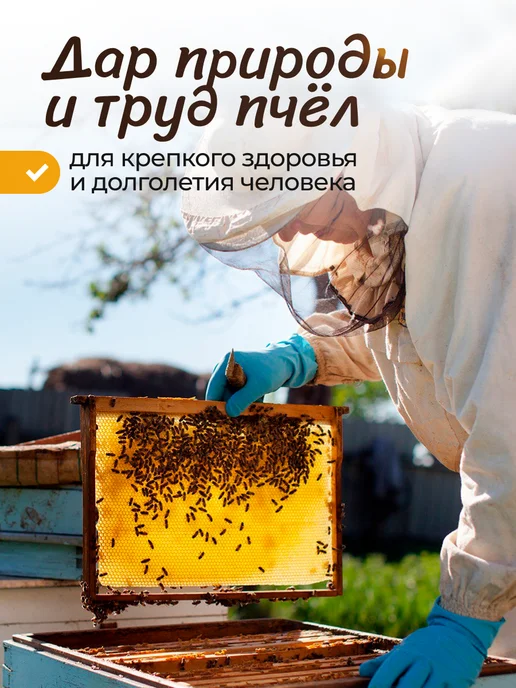 FITOseason Мёд с сотах Горное разнотравье 150 гр*4шт, 150 г, 4 шт, фото 7