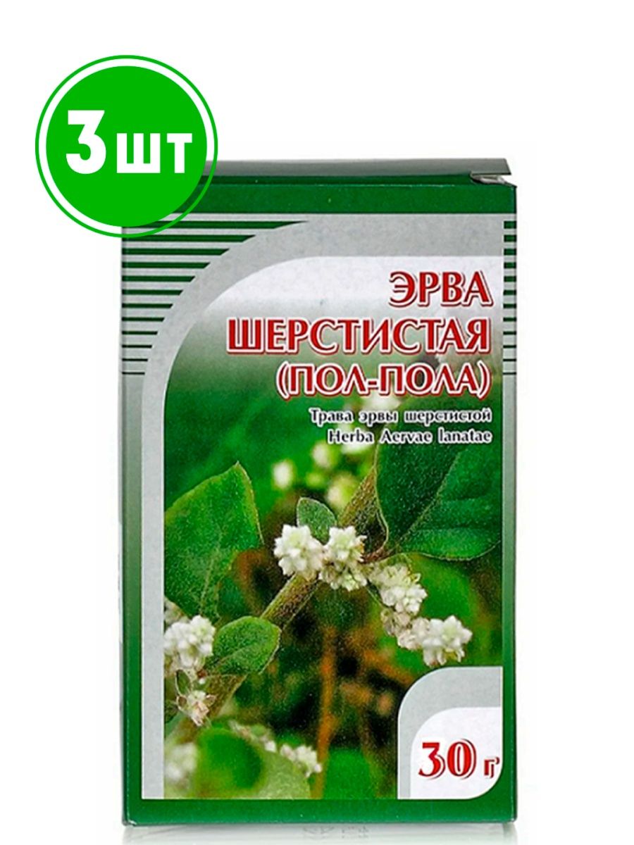 Эрва шерстистая применения отзывы. Эрвы шерстистой трава. Пол-пола трава эрва шерстистая. Пол пала эрва шерстистая. 81. Эрва шерстистая.