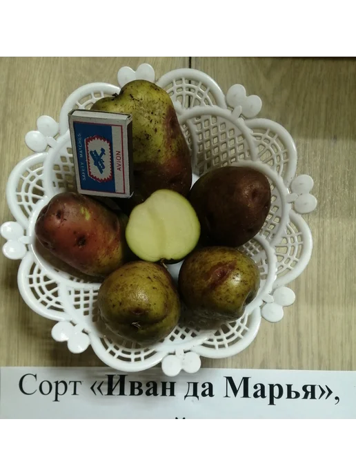 АЛГОР-ЭКОПРОДУКТ Картофель Иван да Марья - 10 шт, 10 шт
