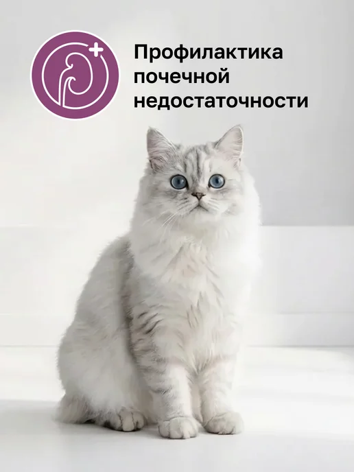 Сухой корм Organix Renal Кошек для собак, 0,6 кг, фото 2