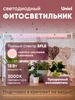 Фитолампа 10Вт SPLE IP20 полный спектр Uniel 414757466 купить за 564 ₽ в интернет‑магазине Wildberries