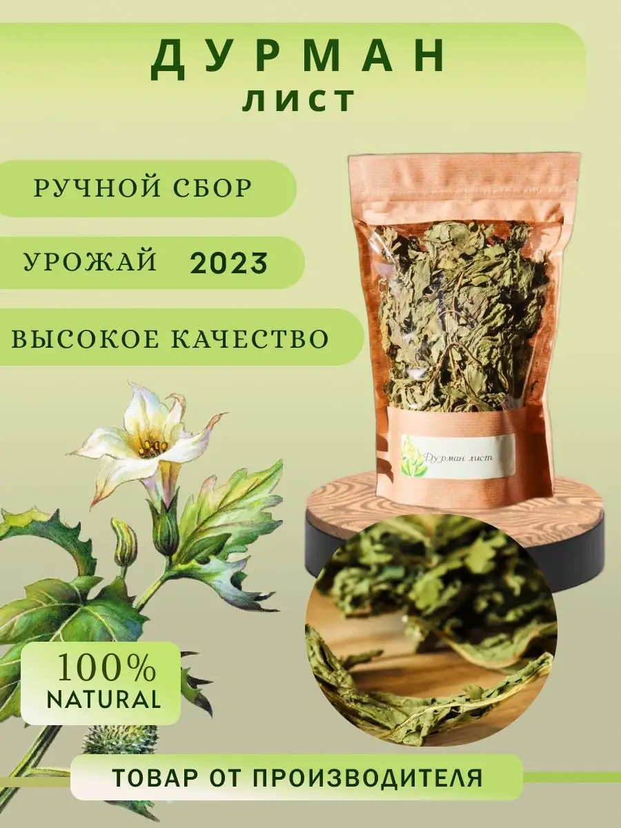 Дурман трава сбор 2024г HERBAL Tea 144529298 купить в интернет-магазине  Wildberries