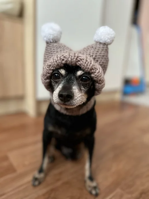 шапка для собаки