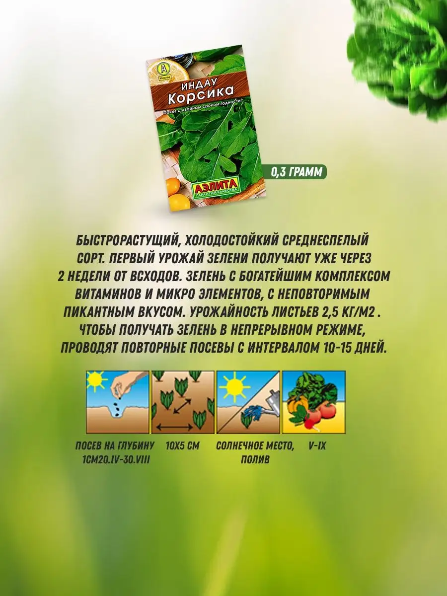 Семена зелени на огороде 8 шт Агрофирма Аэлита 144628495 купить за 160 ₽ в  интернет-магазине Wildberries