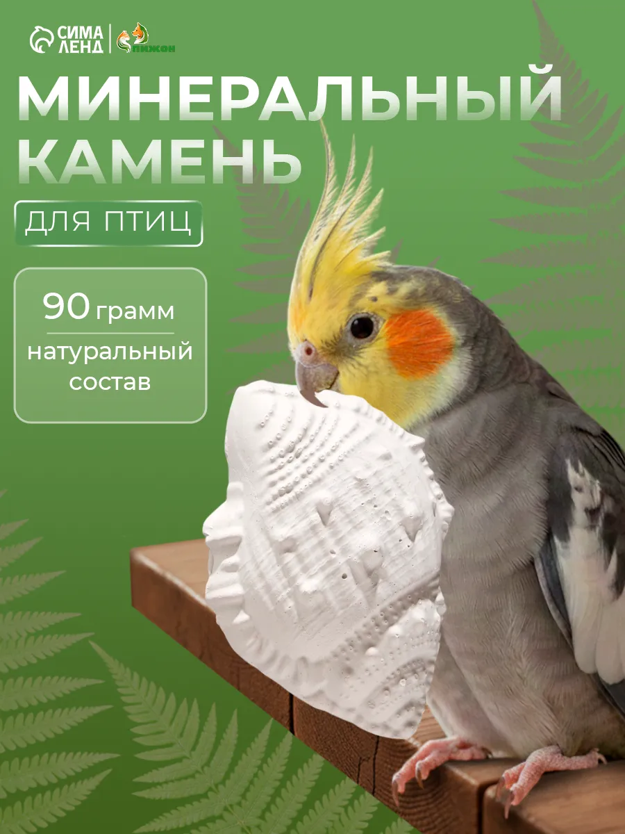 Минеральный камень для птиц Ракушка