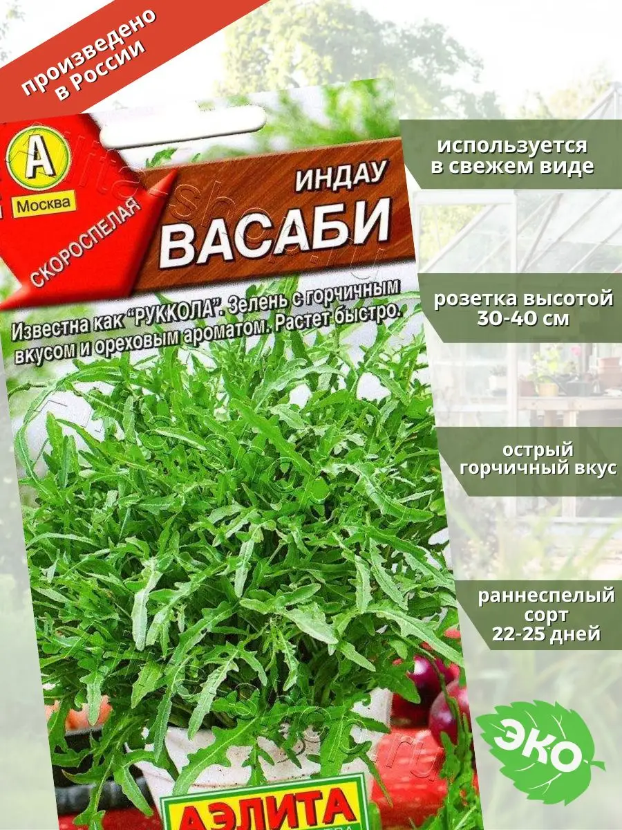 Индау (руккола) Васаби