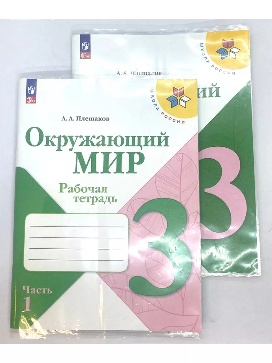 Окружающий мир 3 класс Рабочая тетрадь В 2-х ч Плешаков Просвещение  144683759 купить за 694 ₽ в интернет-магазине Wildberries