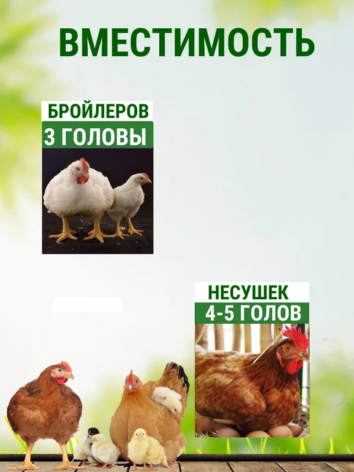 Подворье Клетка для кур-несушек на 5 голов Вятка, серый, фото 2