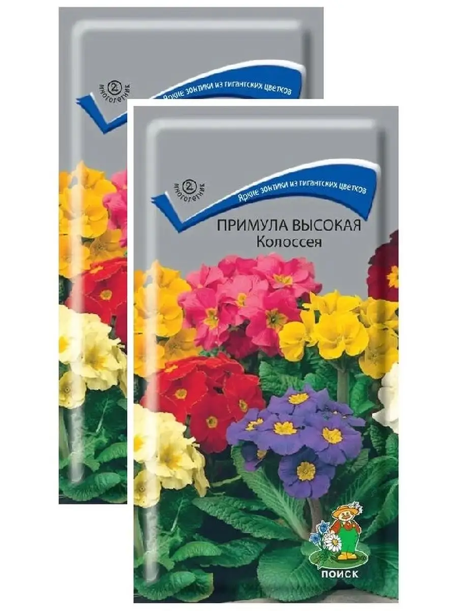 Примула высокая Колоссея (0,05 г), 2 пакета Агрохолдинг Поиск 144708161  купить за 160 ₽ в интернет-магазине Wildberries