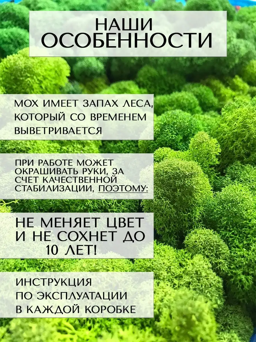 Панно из стабилизированного мха для декора Планета Флористики 144726756  купить за 1 911 ₽ в интернет-магазине Wildberries