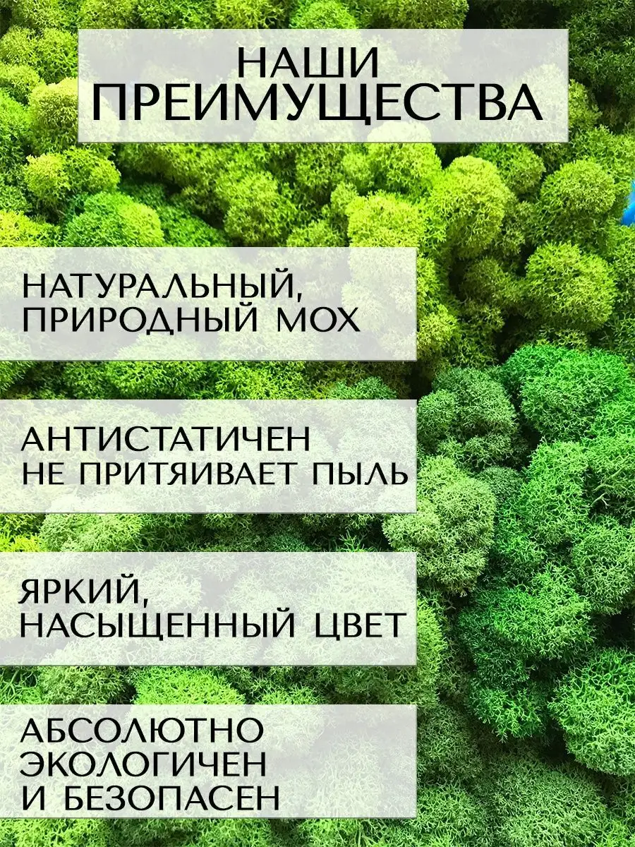 Панно из стабилизированного мха для декора Планета Флористики 144726756  купить за 1 911 ₽ в интернет-магазине Wildberries