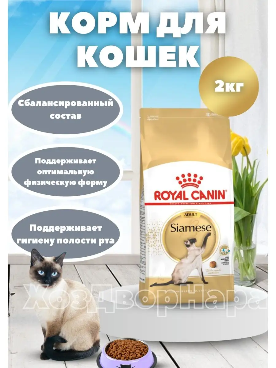 Корм для сиамских кошек, Корм Роял канин Siamese Adult ROYAL CANIN  144745564 купить за 3 158 ₽ в интернет-магазине Wildberries