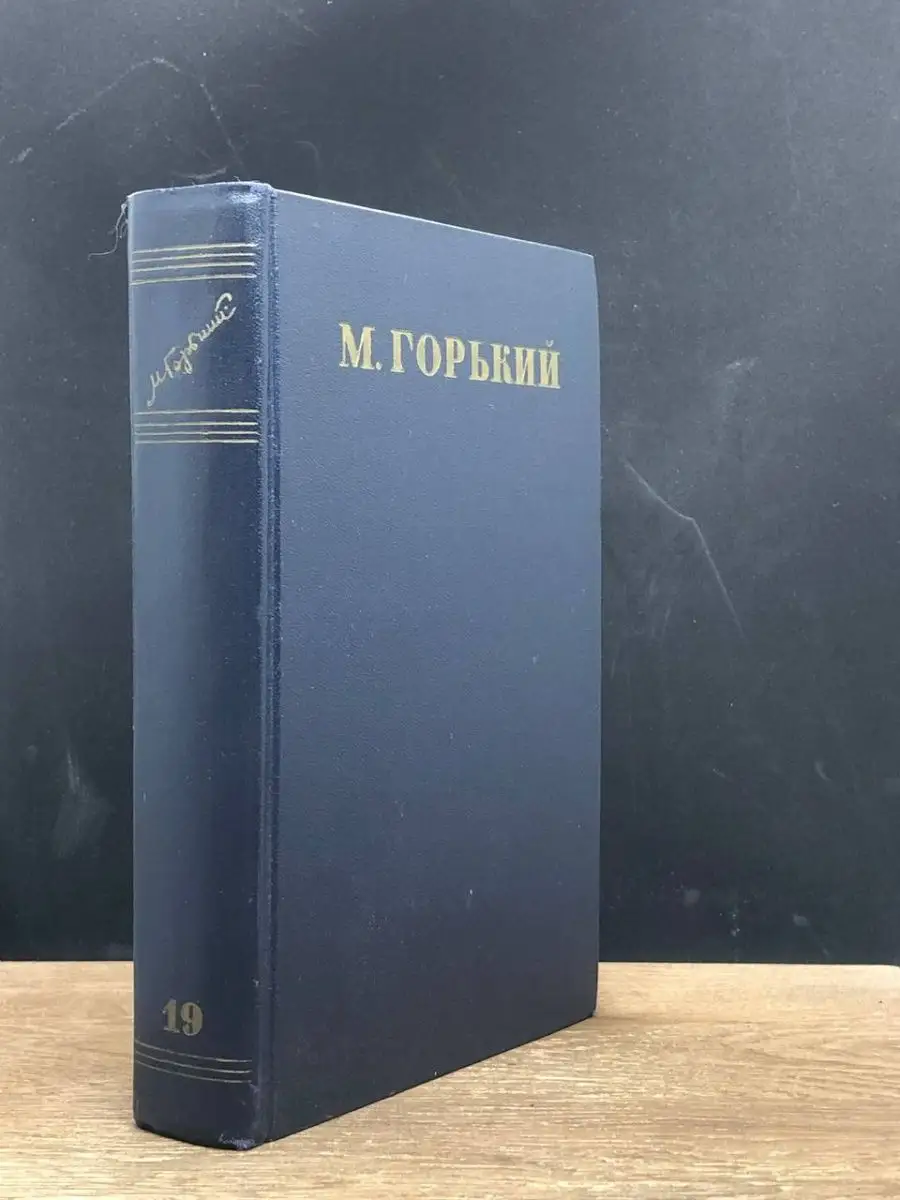 Максим Горький. Собрание сочинений в 30 томах. Том 19 Москва 144753782  купить за 139 ₽ в интернет-магазине Wildberries