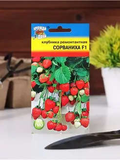 Семена Клубника ремонт. "СОРВАНИХА" F1, 5 шт Урожай Удачи 144764157 купить за 133 ₽ в интернет-магазине Wildberries