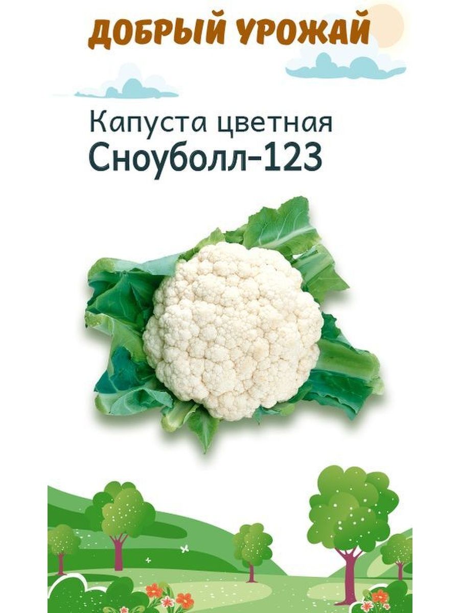 Капуста цветная сноуболл 123 отзывы. Капуста цветная Сноуболл. Капуста Сноуболл 123. Капуста цветная Сноуболл 123 0,5г поиск. Рассада цветной капусты Сноуболл 123 как выглядит.