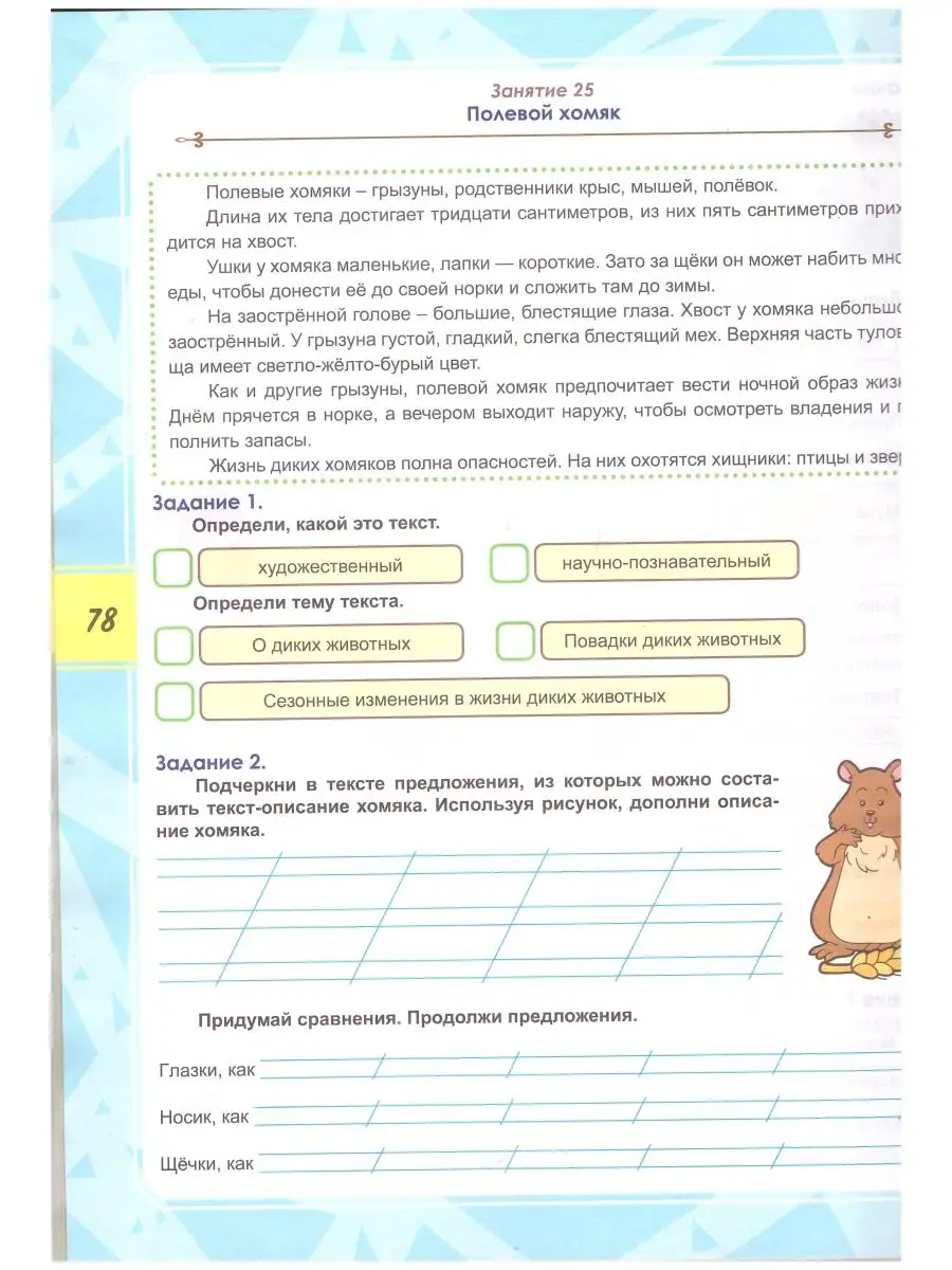 Функциональная грамотность 2 класс. Планета. Издательство Планета 144796605  купить в интернет-магазине Wildberries