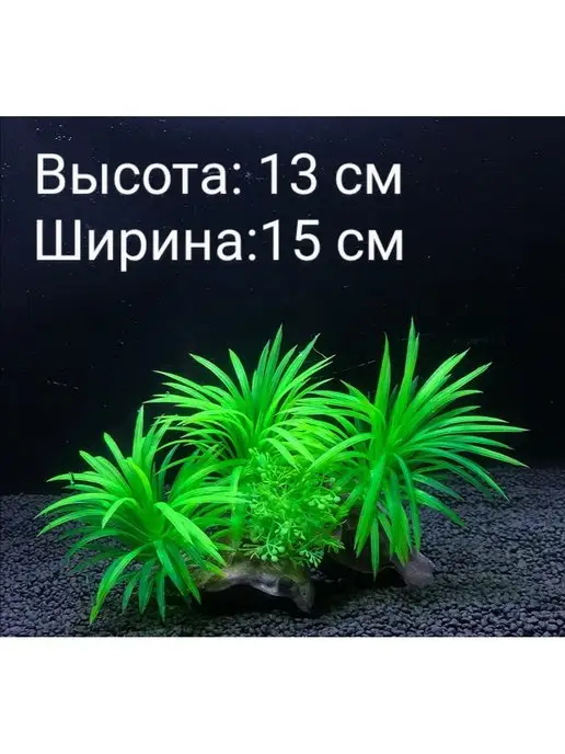 Внукова Т.Н. Растение для аквариума, зеленый, фото 2