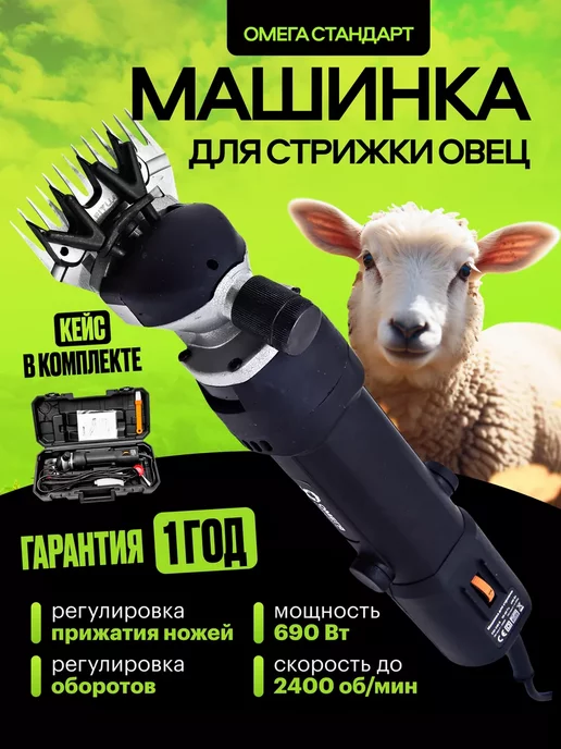 Ноутбуки: Asus