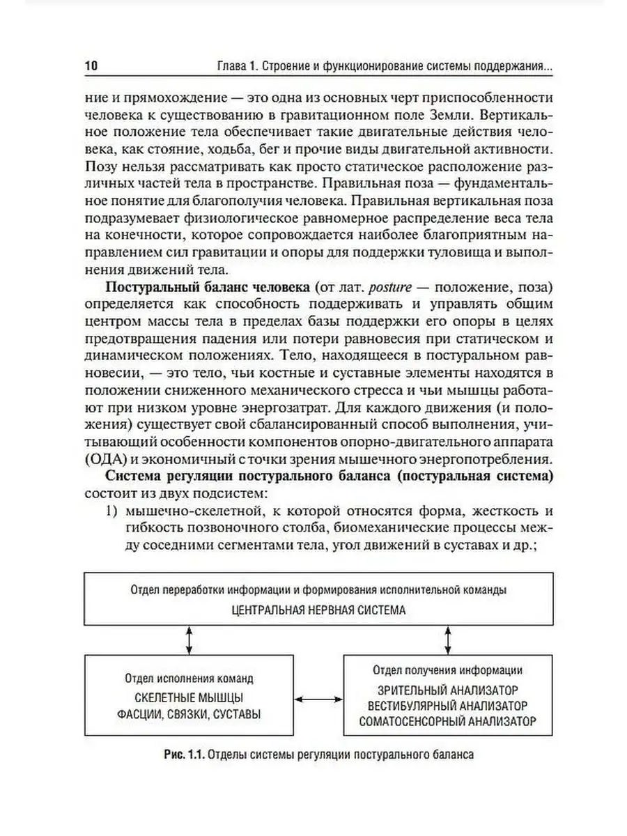 Профилактика постуральных и двигательных нарушений: учебник ГЭОТАР-Медиа  144849431 купить за 1 118 ₽ в интернет-магазине Wildberries