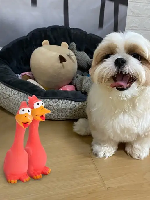 Zoowell Игрушка резиновая с пищалкой, красный, фото 2