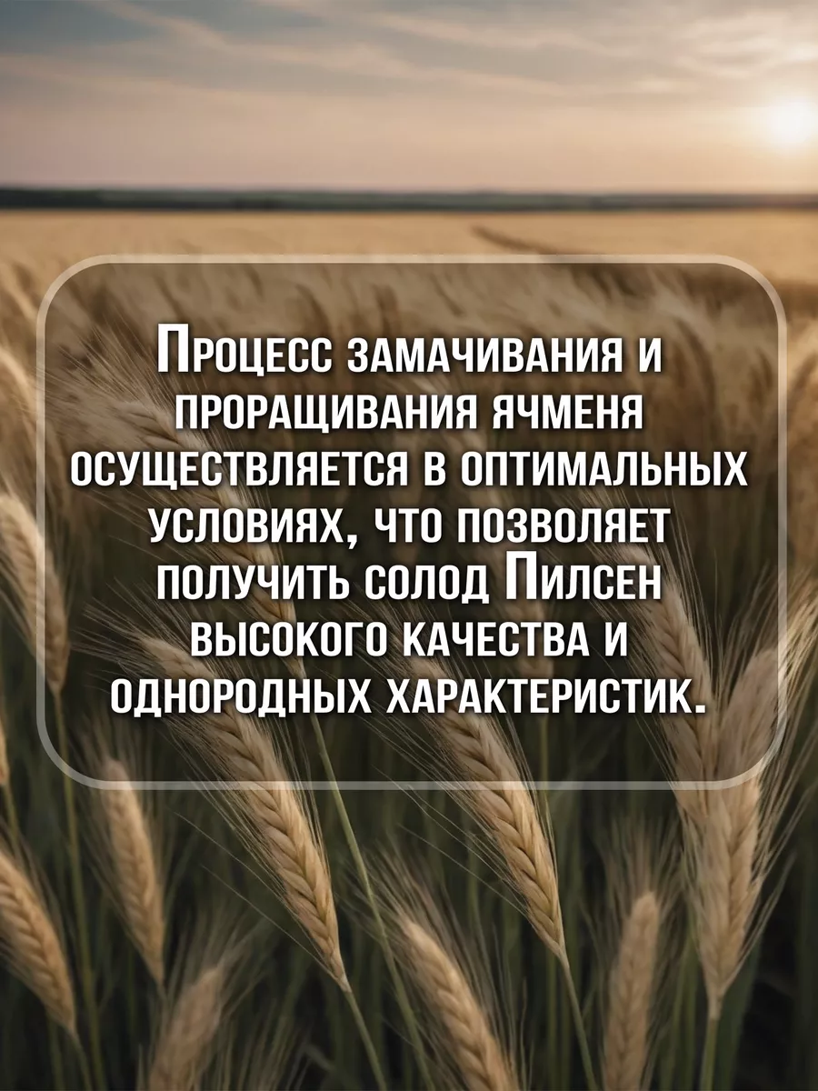 Солод пивоваренный ячменный Пилсен Солод Плюс 144864140 купить за 1 418 ₽ в  интернет-магазине Wildberries