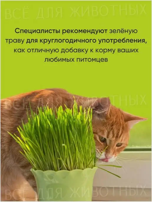 Альпийские луга Травяные смеси для кошек для проращивания, 100г, 100 г, фото 4